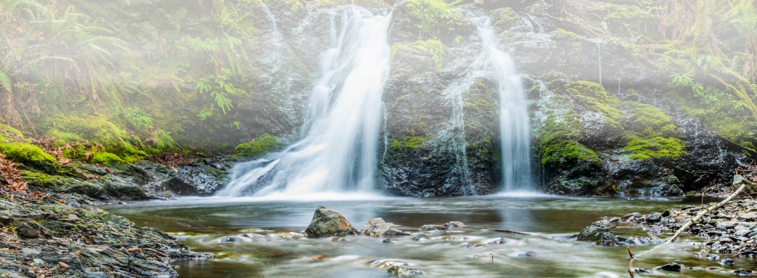 qigong_nature_4